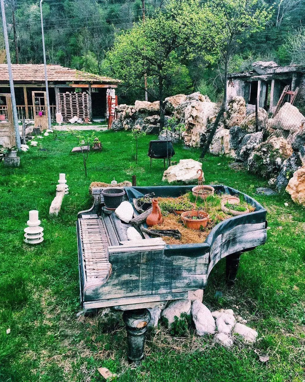 Амбролаури