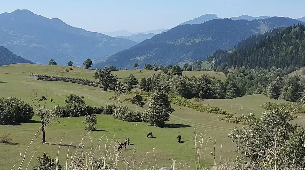 Goderdzi