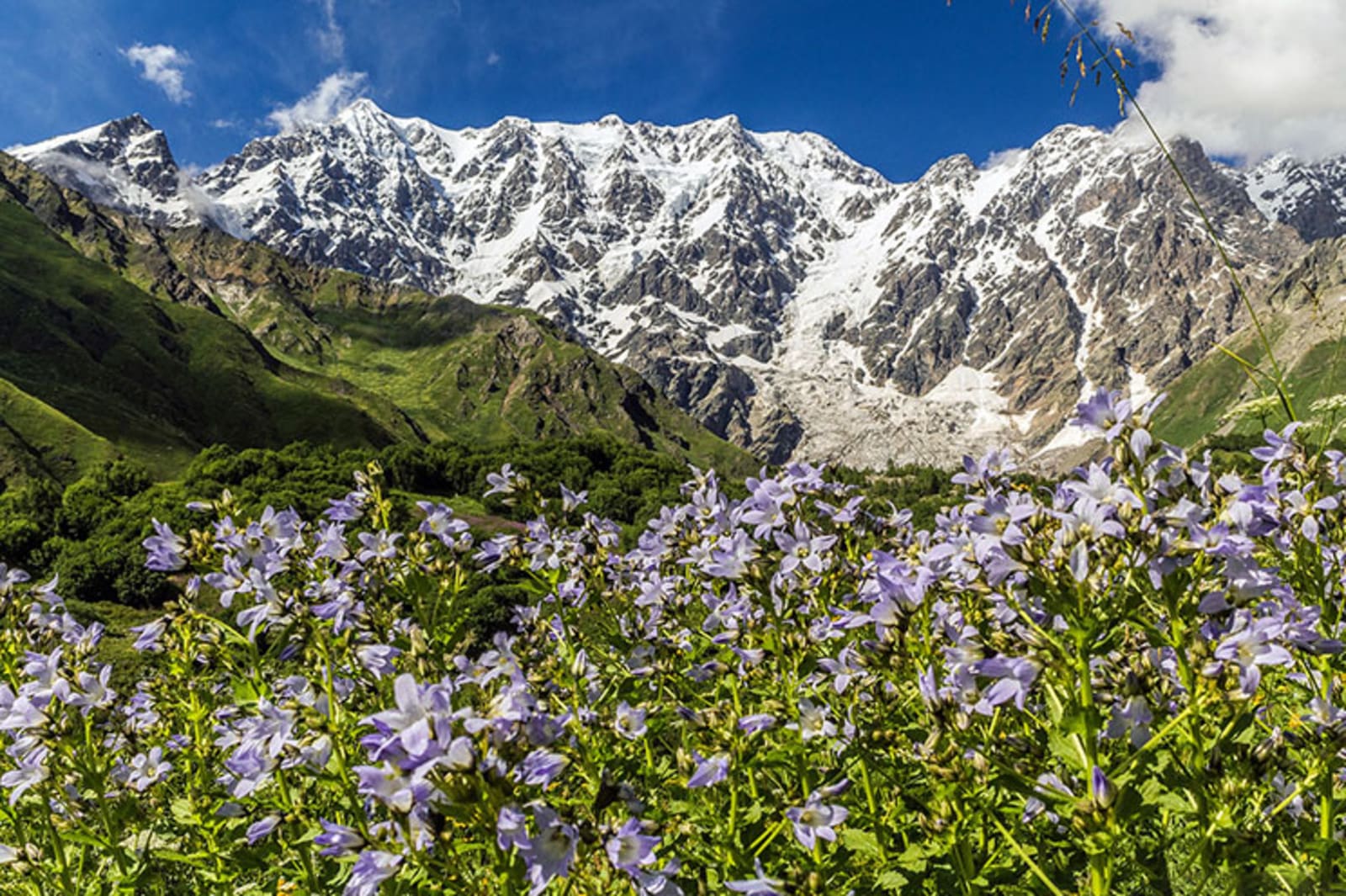 Von Tbilisi nach Batumi: Strandurlaub und kulturelles Eintauchen